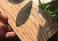 Деревянное зерно вводит краску в моду покрытия порошка полиэстера для алюминиевых профилей